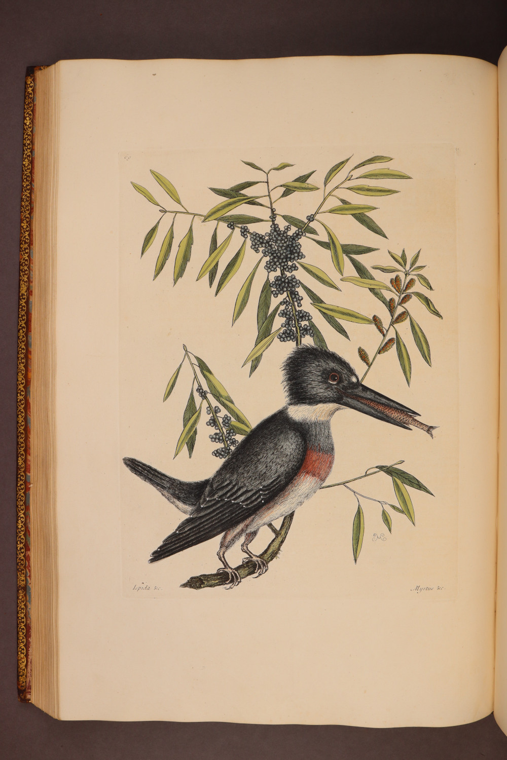 Plate 69